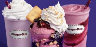 Häagen-Dazs Summer Blueberry Oat Milk Dessert